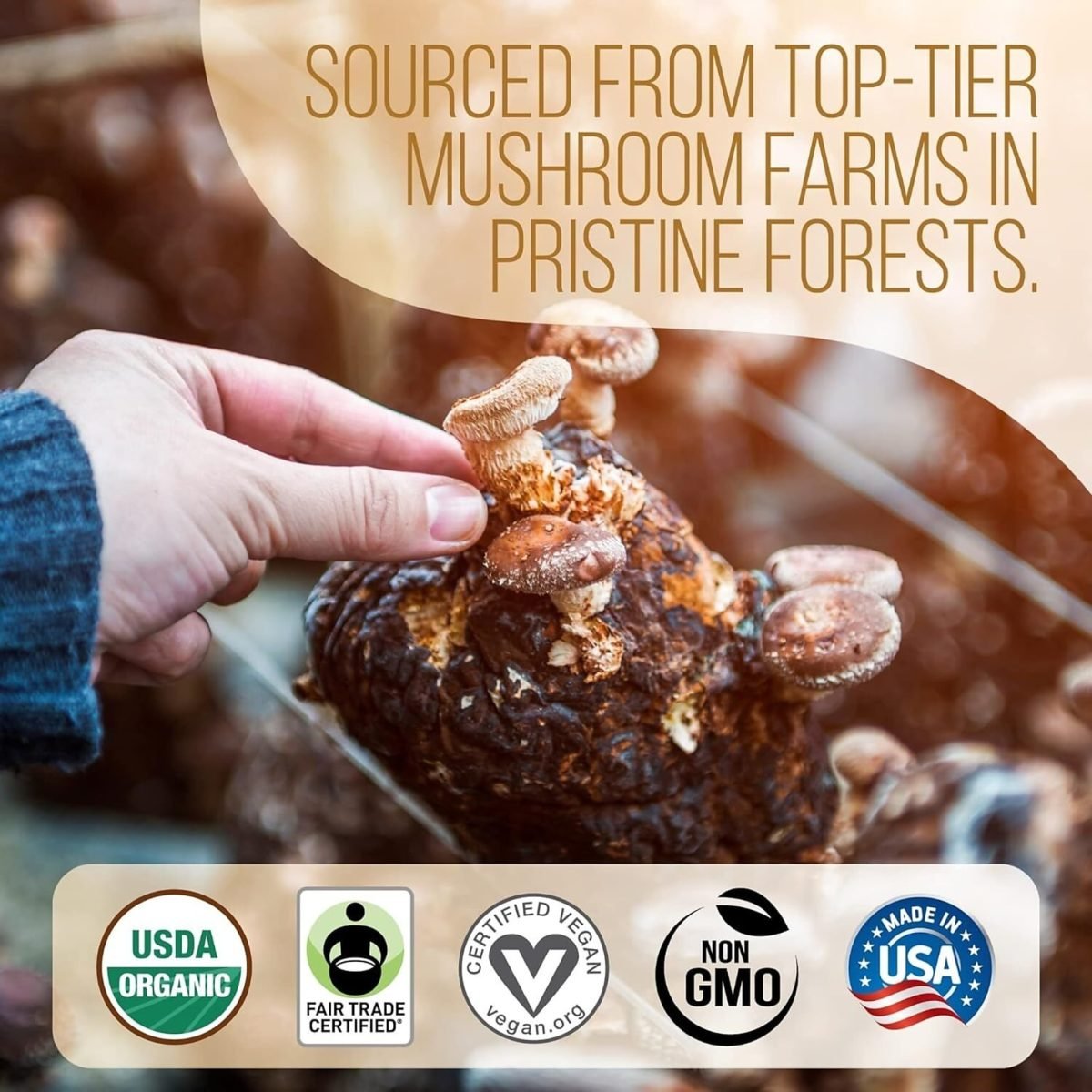 La Republica Organic Ground Superfood Mushroom Coffee, Fair Trade Arabica Coffee, Medium Roast, 60 Servings (LARR-OGMC) - Image 4